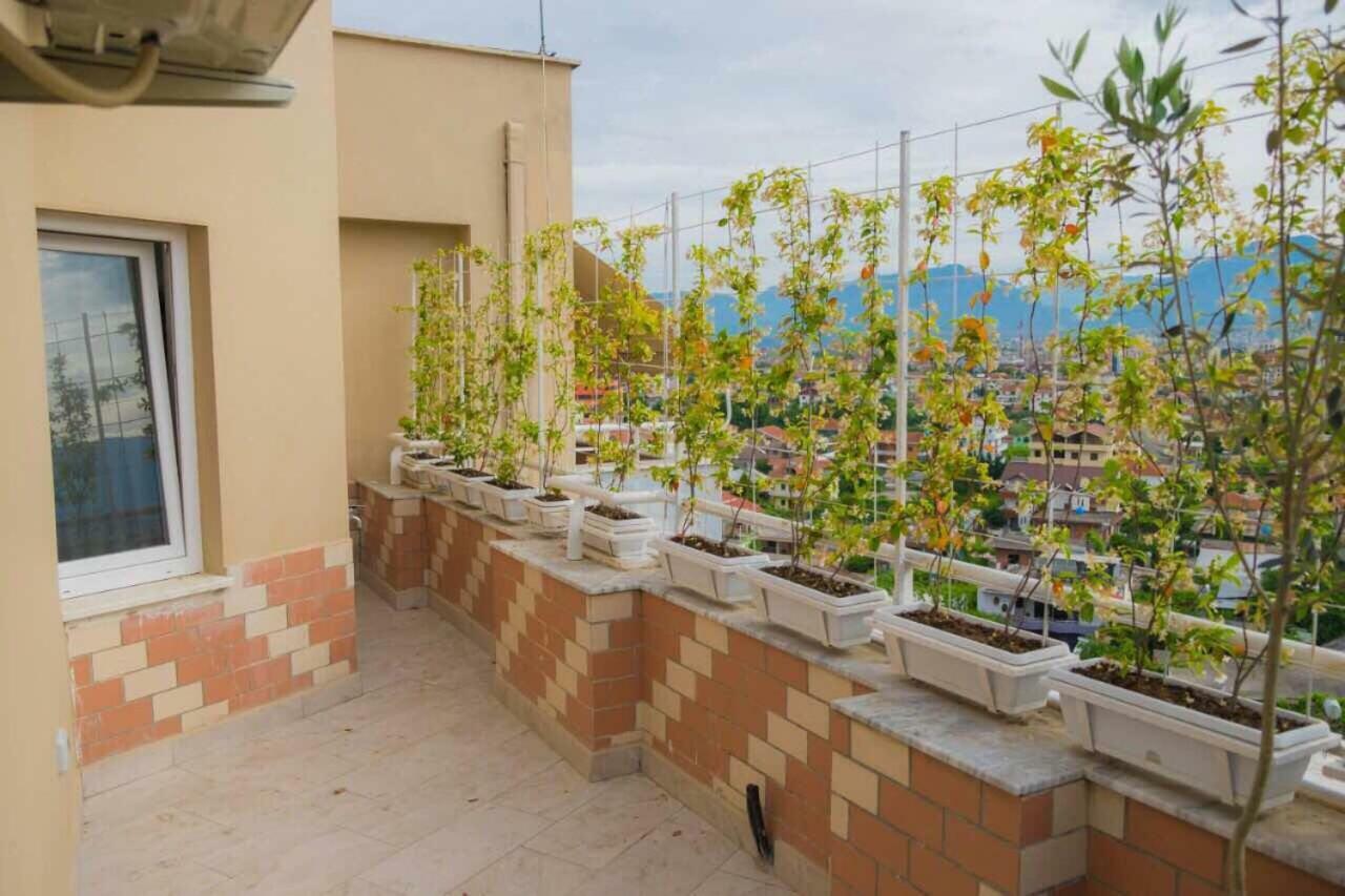 Modern Furnished Apartment With View Tirana Eksteriør billede